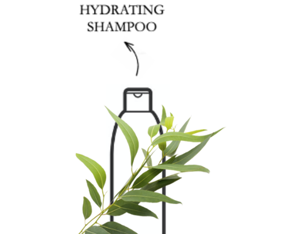 Private label shampoo and conditioner for good hygiene